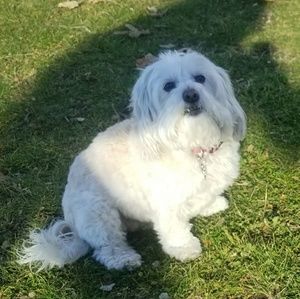 Meet your Posher, Kimmy